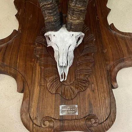 Hotel Masia Del Aragones