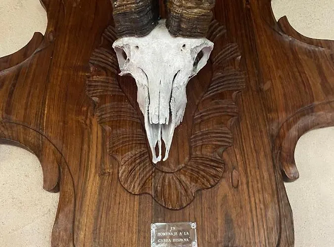 Hotel Masia Del Aragones